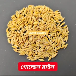 গোল্ডেন রাইস ৫ কেজির প্যাক