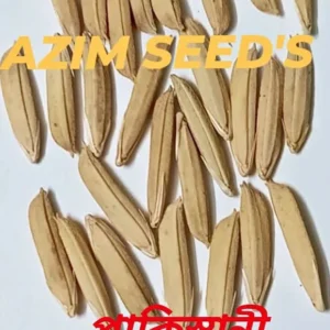 পাকিস্তানী লং বাসমতি ২ কেজির প্যাক