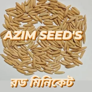 রড মিনিকেট - ৫ কেজির প্যাক