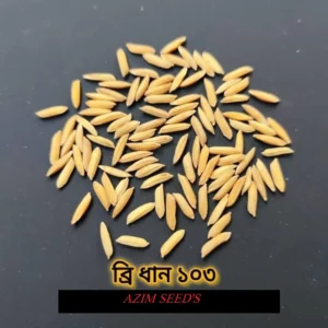 ব্রিধান ১১৩ - ২ কেজির প্যাক