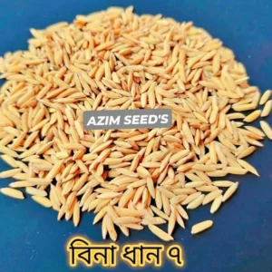 বিনা ধান ৭ - ২ কেজির প্যাক
