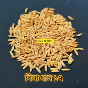 বিনা ধান ১৭ - ২ কেজির প্যাক