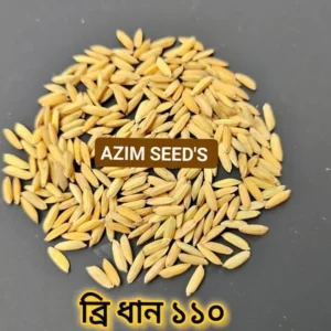 ব্রি ধান ১১০ - (২ কেজি)