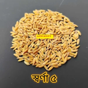 স্বর্ণা ৫ - (২ কেজি)