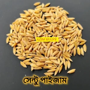 সেন্টু পাইজাম - (২ কেজি)
