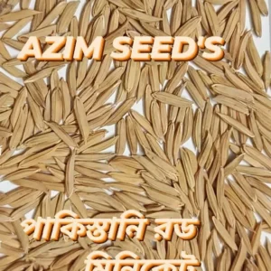 পাকিস্তানী রড মিনিকেট - (২ কেজি)