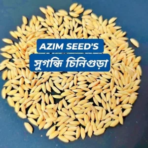 সুগন্ধি চিনিগুড়া - (২ কেজি)