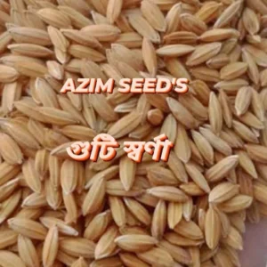 গুটি স্বর্ণা - (২ কেজি)